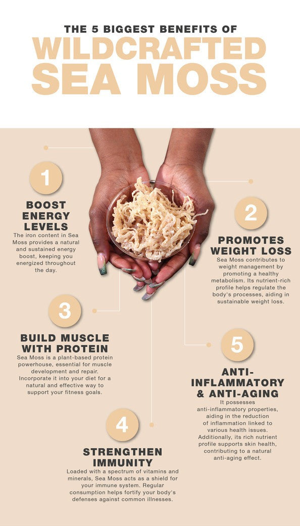 All Natural Wildcrafted Sea Moss - 1 Lb.